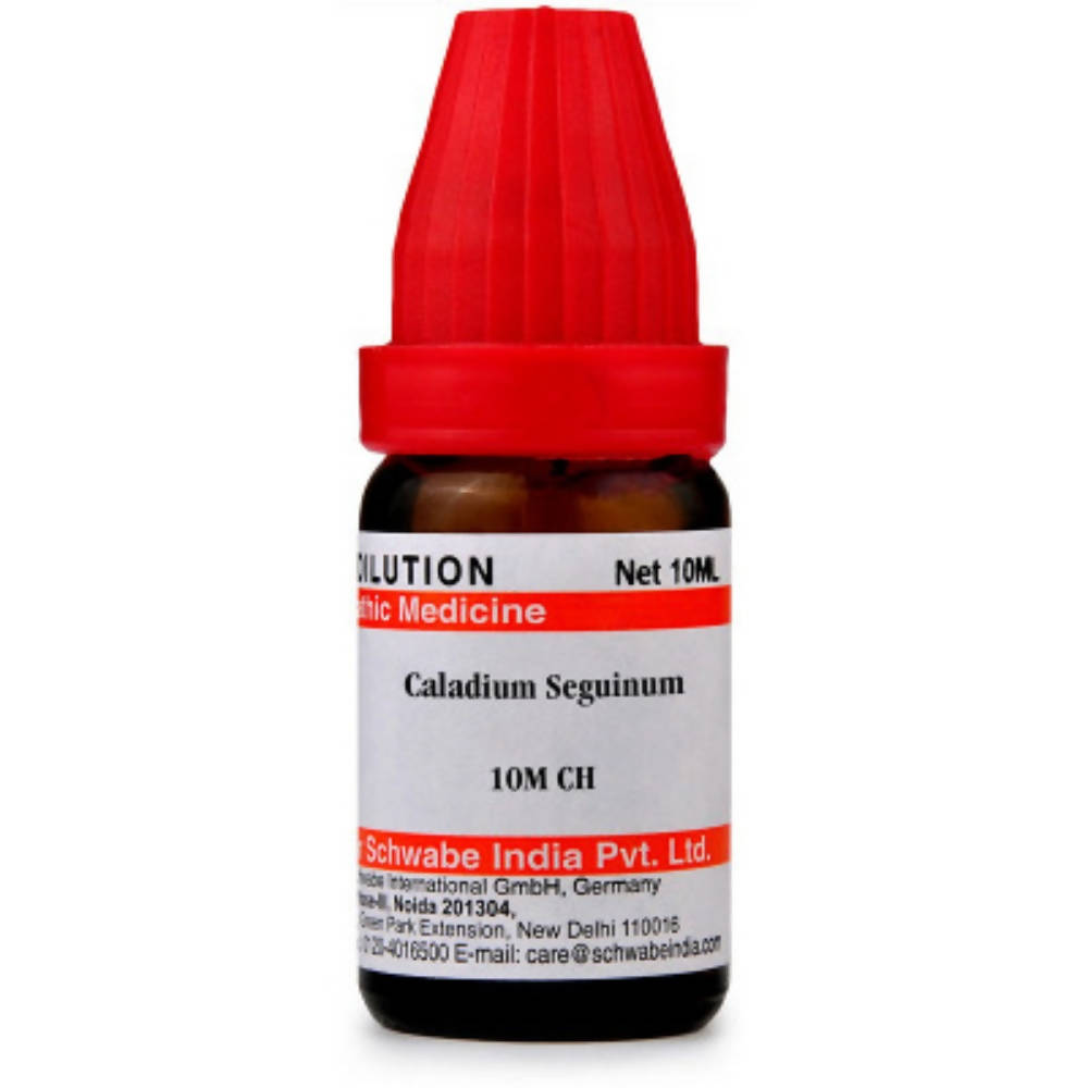 Dr. Willmar Schwabe India Caladium Seguinum Dilution - Distacart